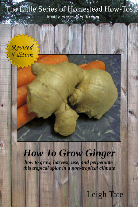 How to Grow Ginger