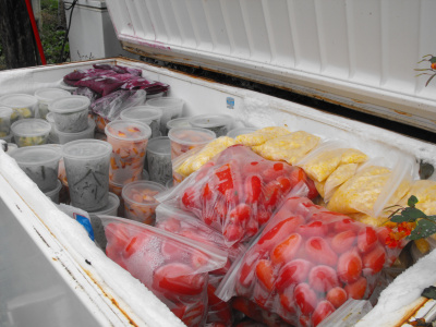 The freezer in fall, full of produce