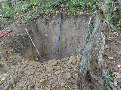 root cellar hole