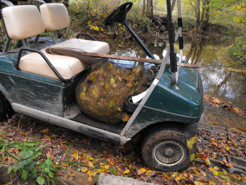 Carting the leaves home