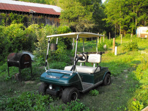 Golf cart