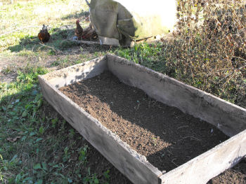 Cold frame