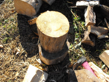 Wood chopping area