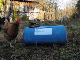 cute chicken with portable air tank