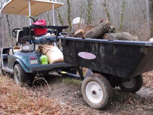 heavy hauler club car