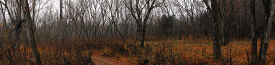 Walking through the floodplain