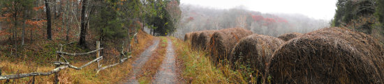 Bales of hay