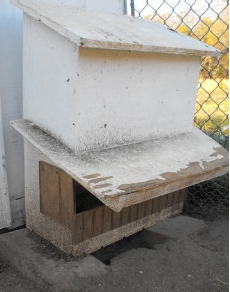 Automatic chicken feeder