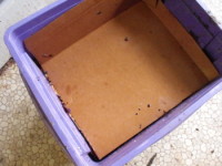 Covering the worm bin with damp cardboard