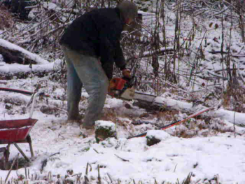 Chainsawing in the snow