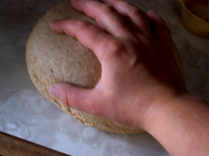 Ball of bread dough