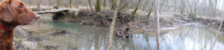 panoramic creek curve