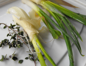 Egyptian onions and thyme