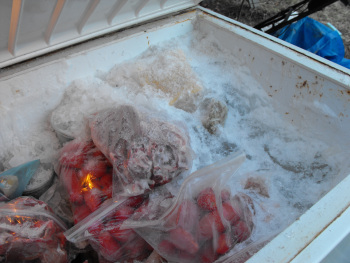 Frozen freezer