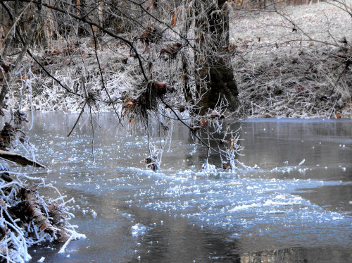 Ice on the creek