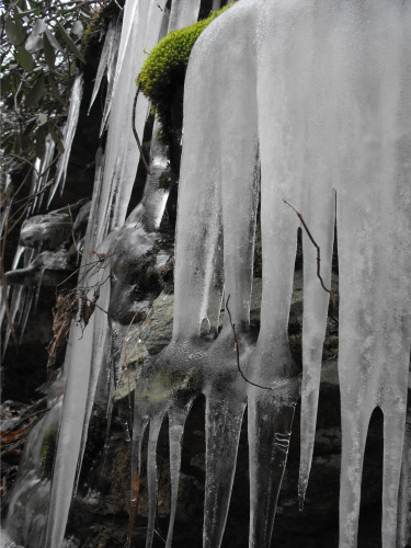 A mossy rock amidst icicles