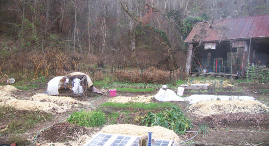 Mulched garden