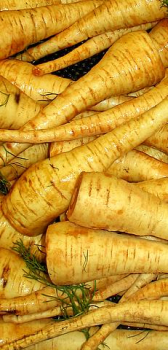 parsnips