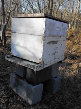 Bee box