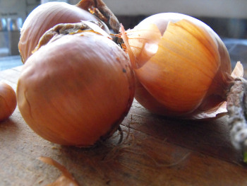 The last of the home grown onions