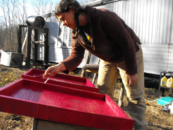 Painting the bee hive lids