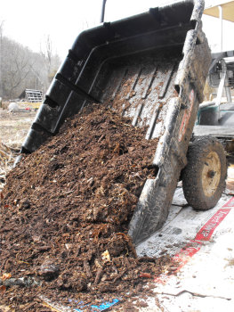 Adding wood chips onto the sheet mulch