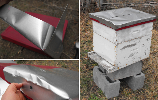 Finishing the bee box lid