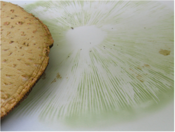 Taking a spore print