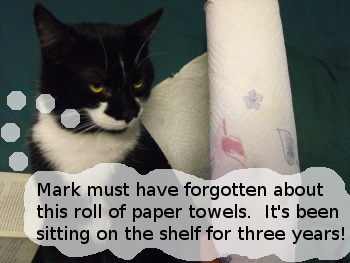 Mark's three year old paper towel roll.
