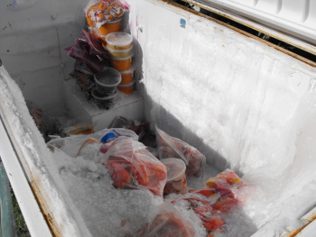 Big freezer, ready to be moved to small freezer