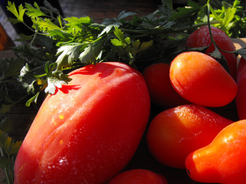 Tomatoes frozen whole.