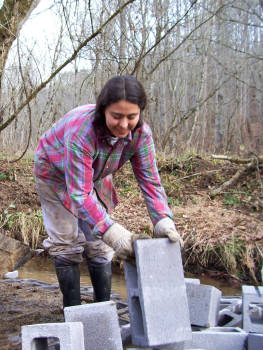 Lifting cinderblocks.