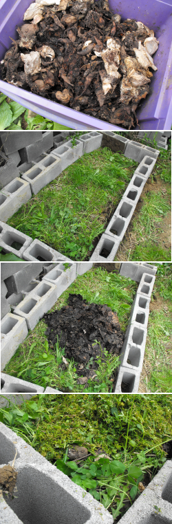 Creating an outdoor worm bin.