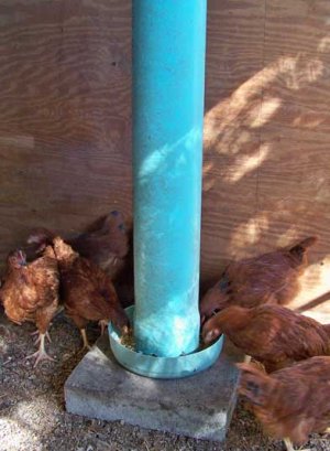 fowl visions chicken feeder