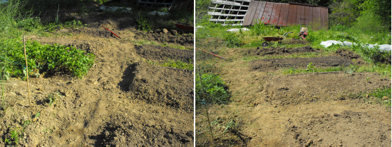 Rebuilding raised beds.