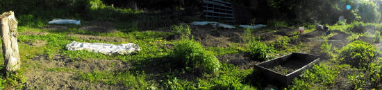 The upper garden from another angle.