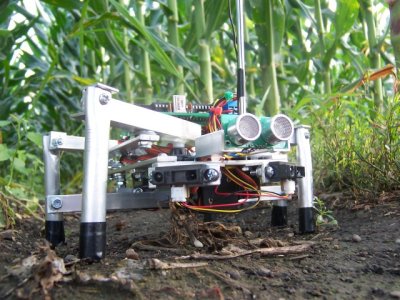 Home robot weed control prototype