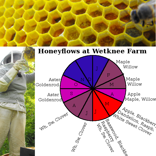 Pollen and nectar flows at Wetkee Farm