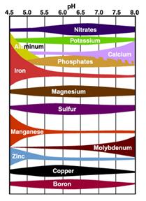 Soil pH affects availability of micronutrients.