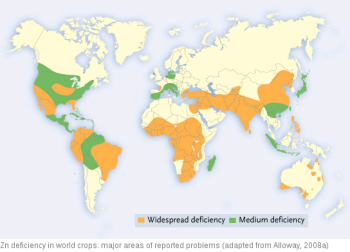 Map of worldwide micronutrient deficiencies