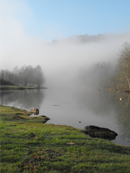 Fog over Oxbow Lake