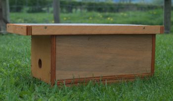 Bumblebee box