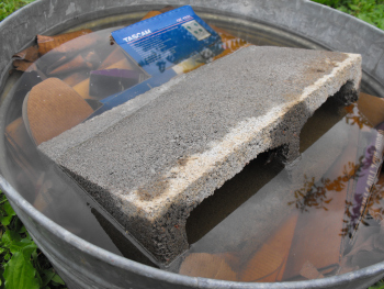 Soaking cardboard to go in the worm bin.