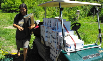 golf cart with boxes and Anna