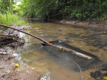 pumping from the creek for irrigation