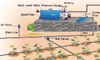 Drip irrigation system