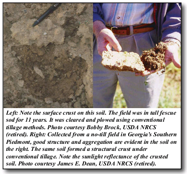 Explanation of soil crusting