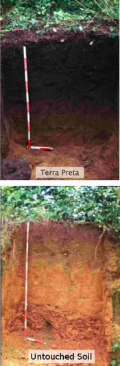 Terra preta compared to untouched soil.
