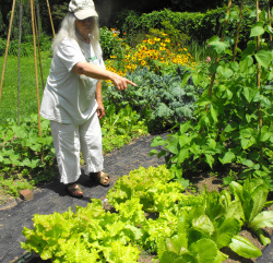 My garden mentor pointing to her lettuce.