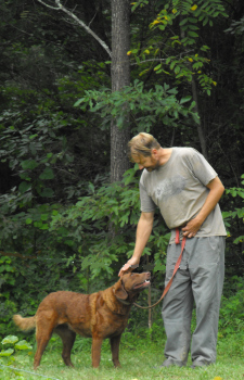 Patting Lucy on the head.